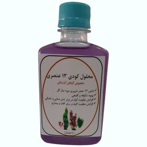 محلول کودی 13 عنصری مخصوص گلهای آپارتمانی کد b05 حجم 220 میلی لیتر